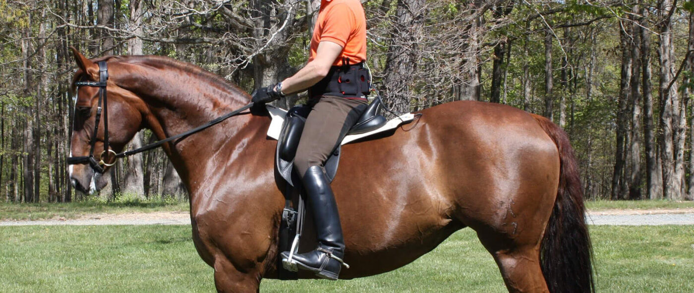 horse saddle pressure measurement. pressure mapping on horse